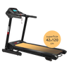 Tapis roulant elettrico professionale, Motore DC lineare 2.5 HP, Area corsa 42x120 cm, Velocità 16 km/h, Ammortizzazione 4 elastomeri alta resistenza, Inclinazione motorizzata, Pieghevole, Chiusura servoassistita // AVIORUN
