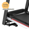 Tapis roulant elettrico entry level prestazioni elevate, Motore DC 2.0 HP, Area corsa 39 x 100cm, Velocità 12,8 km/h, Ammortizzatori antirumore, Pieghevole, Salva spazio // PRO100
