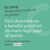Trampolino elastico rotondo da giardino con rete di sicurezza e scaletta, diametro 250 cm // Go Jump